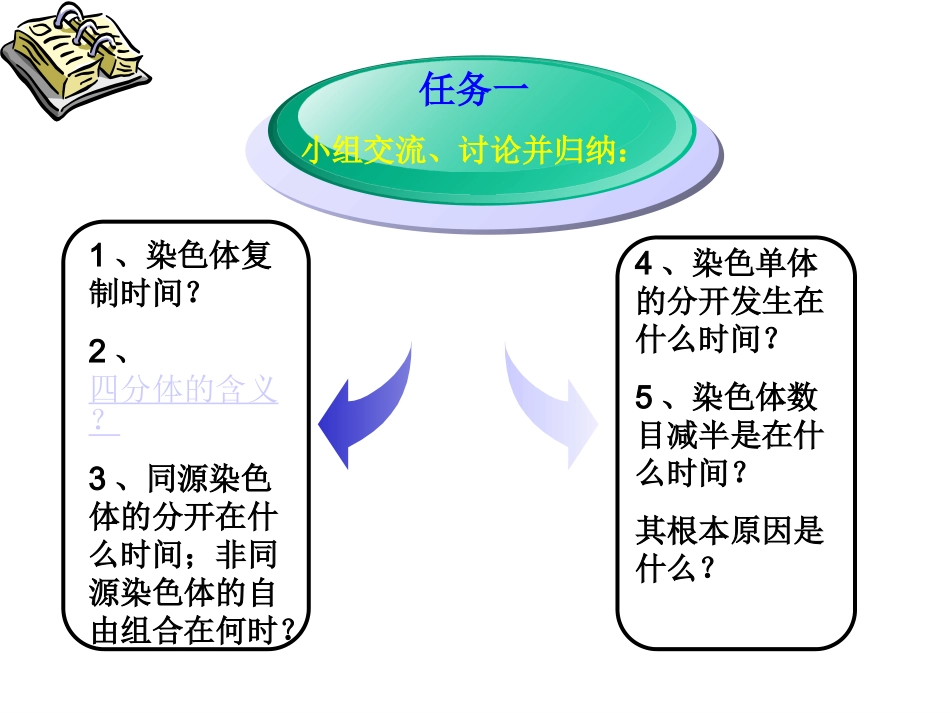 减数分裂课件_第2页
