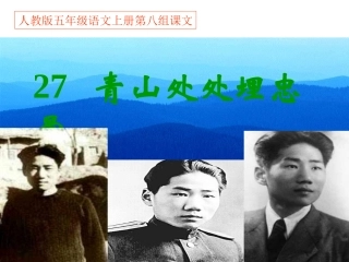 1005《27青山处处埋忠骨》PPT课件
