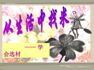 《从生活中找“米”》课件