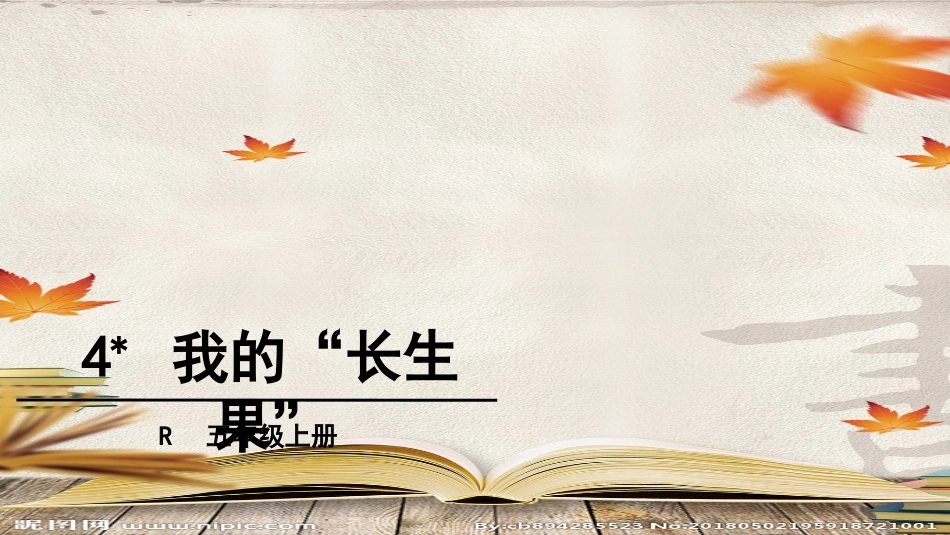 4-我的“长生果”_第2页