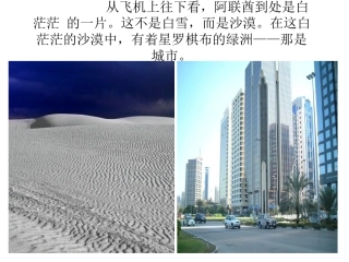 《沙漠中的绿洲》课件