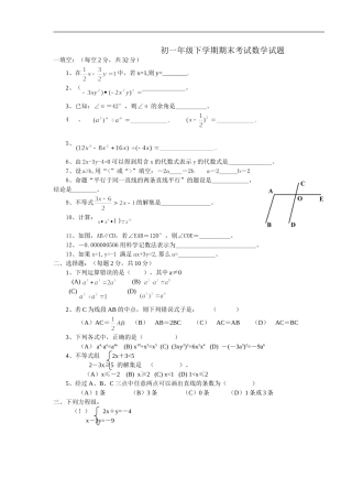 初一年级下学期期末考试数学试题