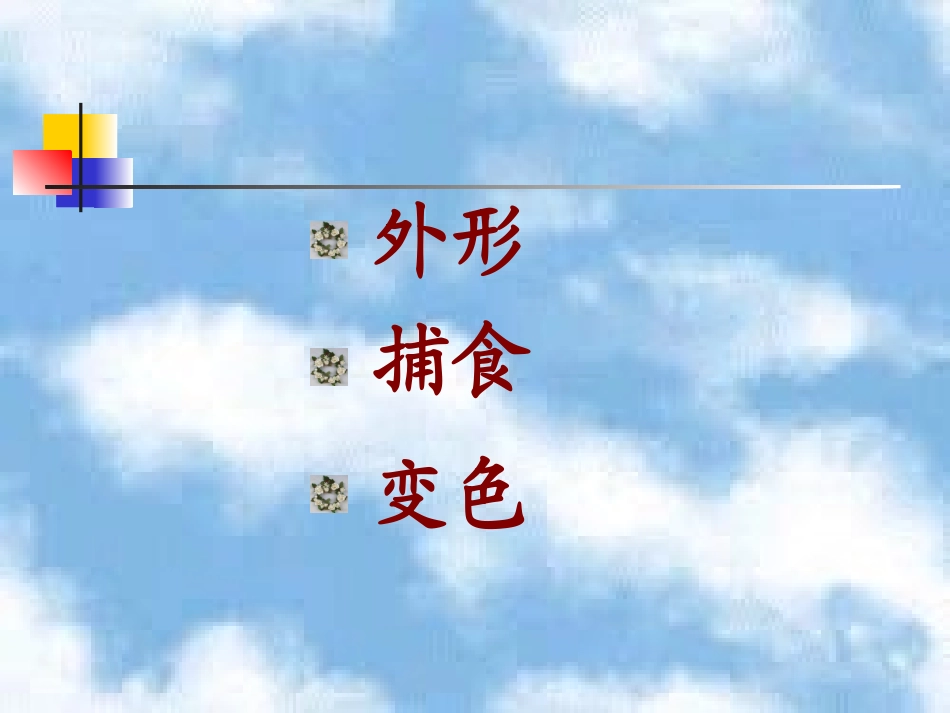 6变色龙(第二课时)_第3页