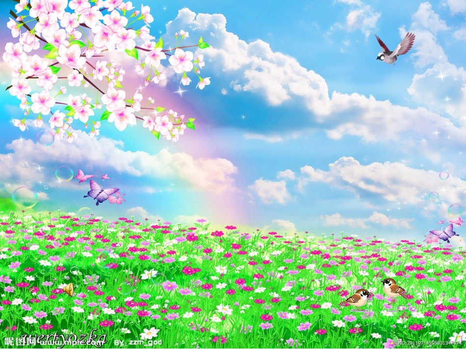 小鸟-请到这里来_第1页