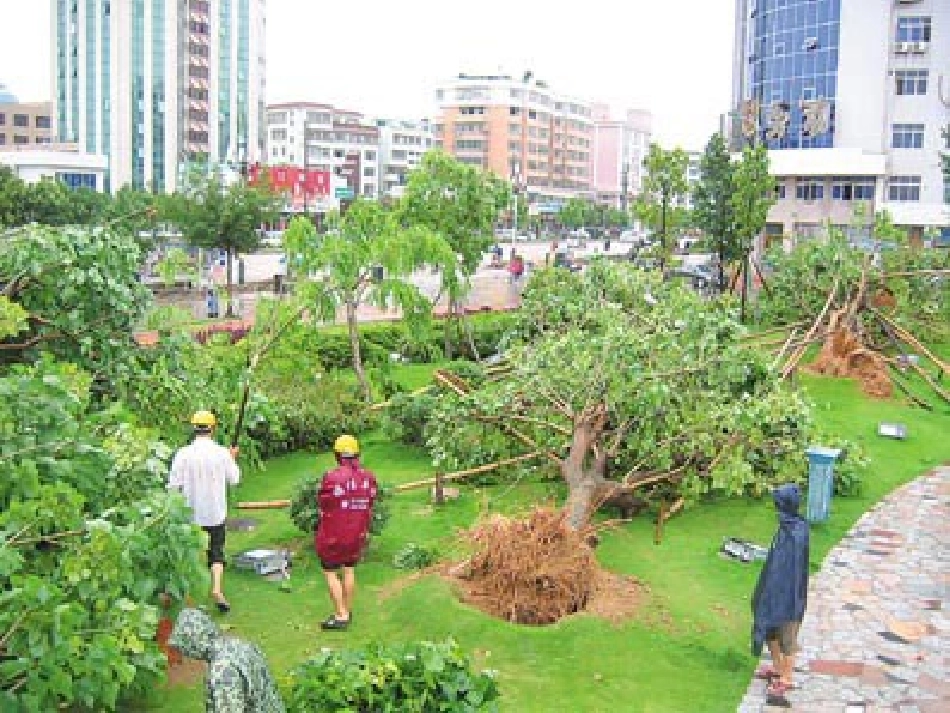 小鸟-请到这里来_第3页