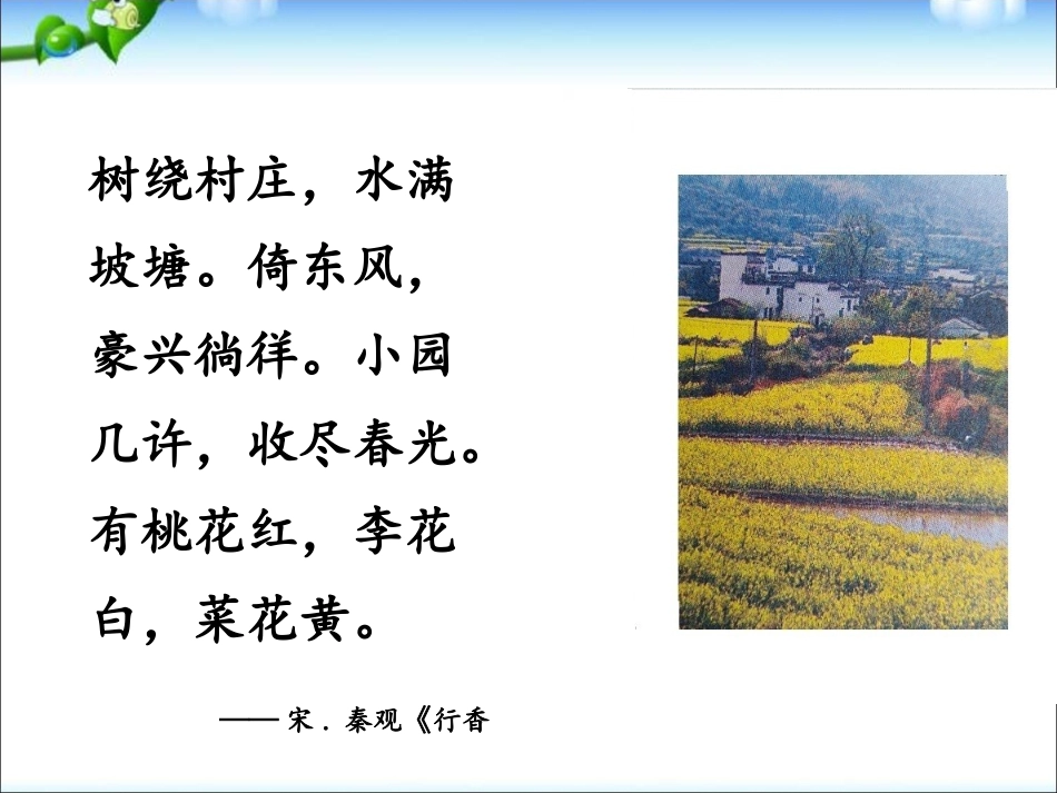 第三节拟定保护生态环境的计划_第2页