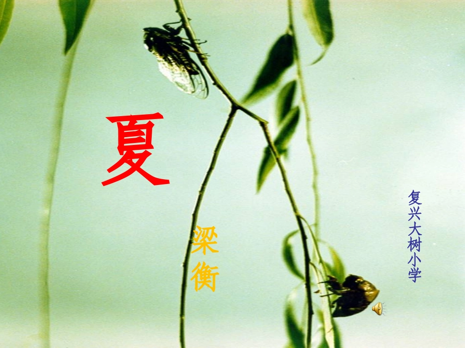 西师版六下——《夏》_第3页