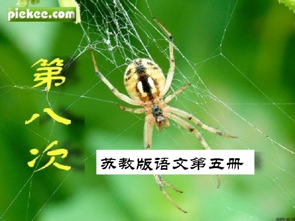 11.第八次课件_第1页