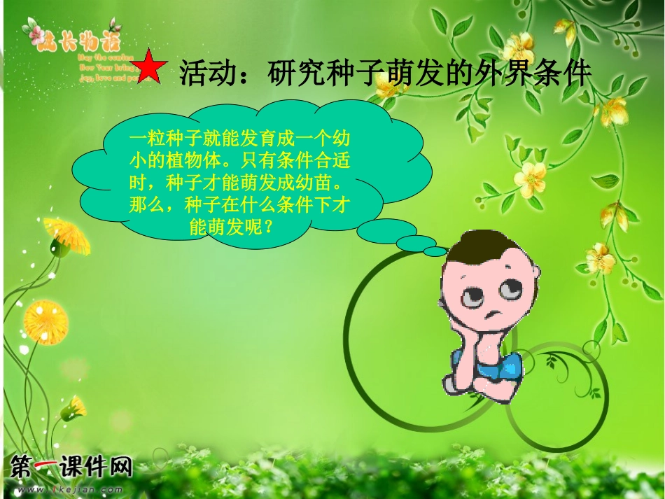 (冀教版)五年级科学上册课件-小苗的诞生-1_第2页