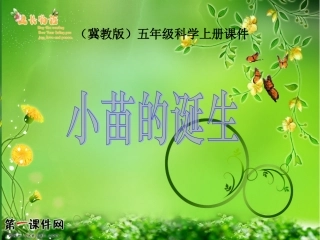 (冀教版)五年级科学上册课件-小苗的诞生-1
