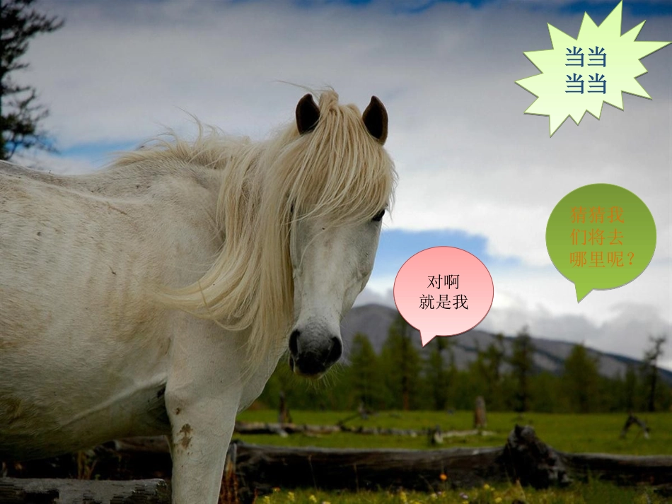 草原就是我的家_第2页