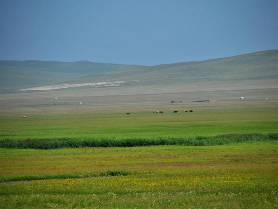 草原就是我的家_第3页