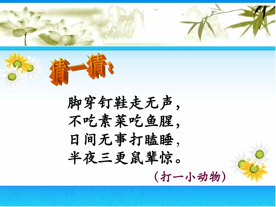 15猫ppt课件2_第1页