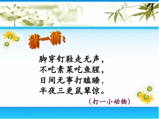 15猫ppt课件2