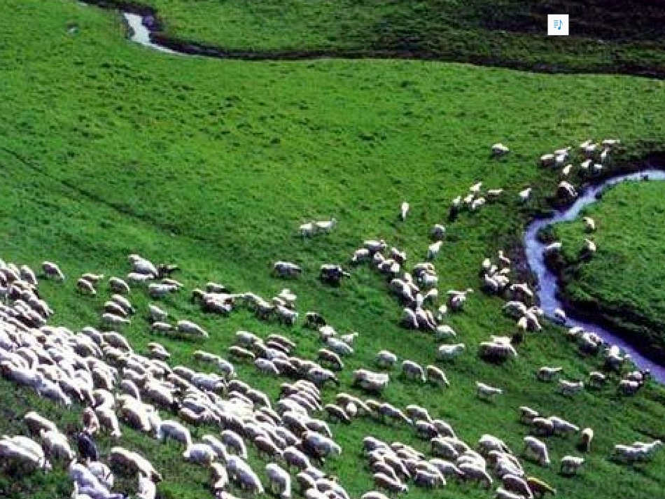 15锡林郭勒大草原_第1页