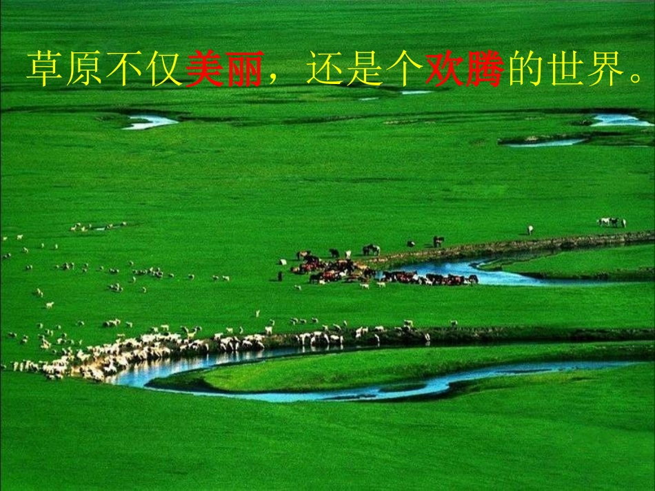 15锡林郭勒大草原_第3页