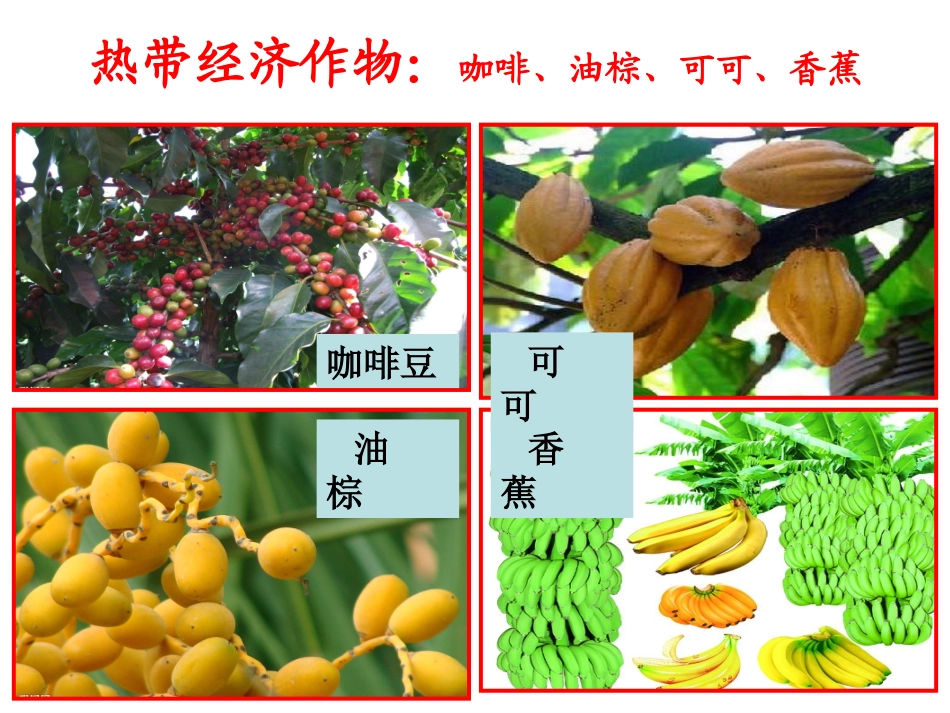单一商品经济的影响_第2页
