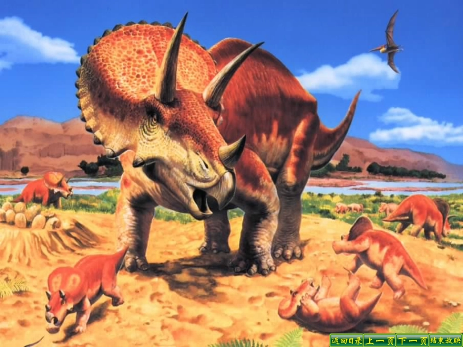 恐龙无处不在_第3页