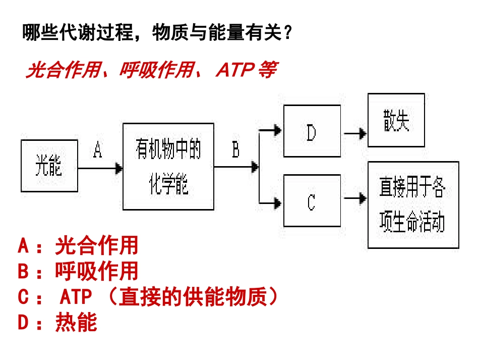 5.2《生态系统的能量流动》-课件-王玉_第3页