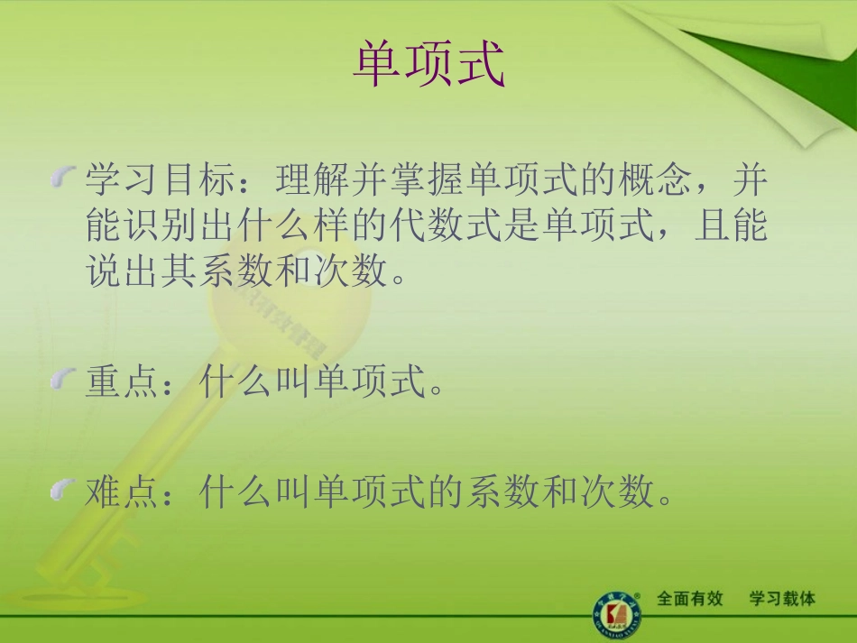 2.4整式ppt_第2页