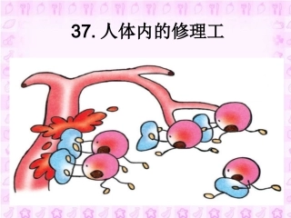 小学语文二年级课件-人体内的修理工-沪教版