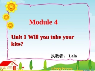 Will-you-take-your-kite？