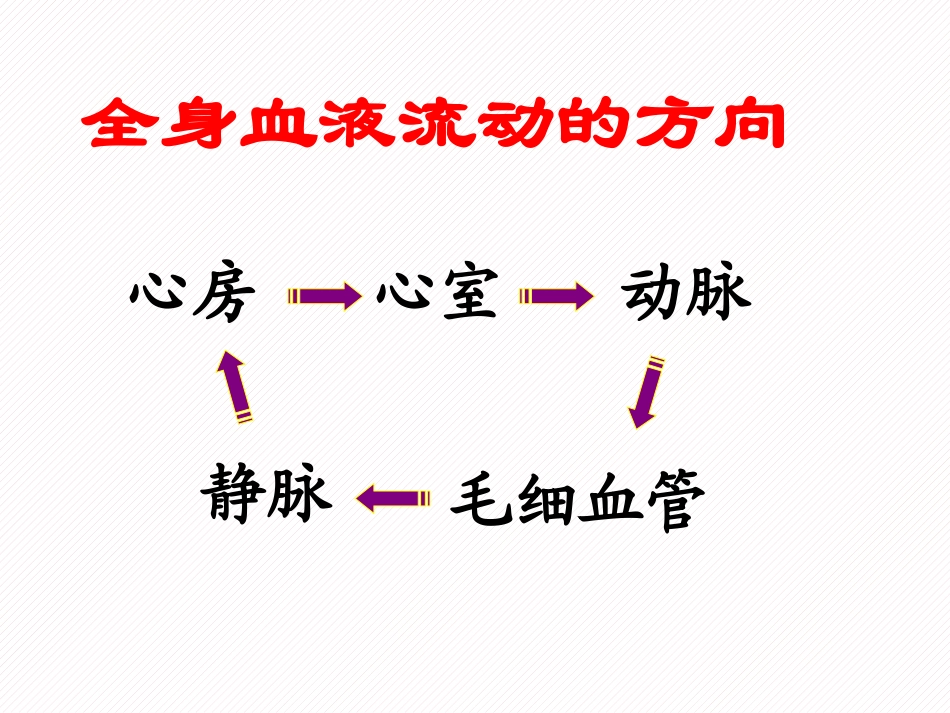 第三节物质运输的路线_第2页