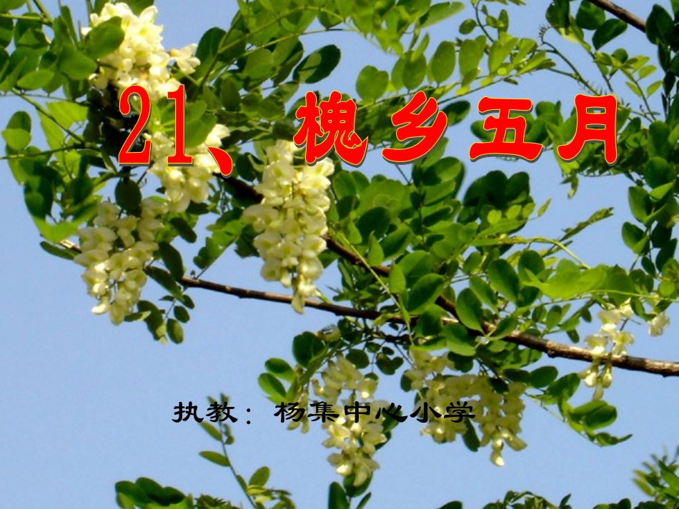 槐乡五月 (2)_第1页