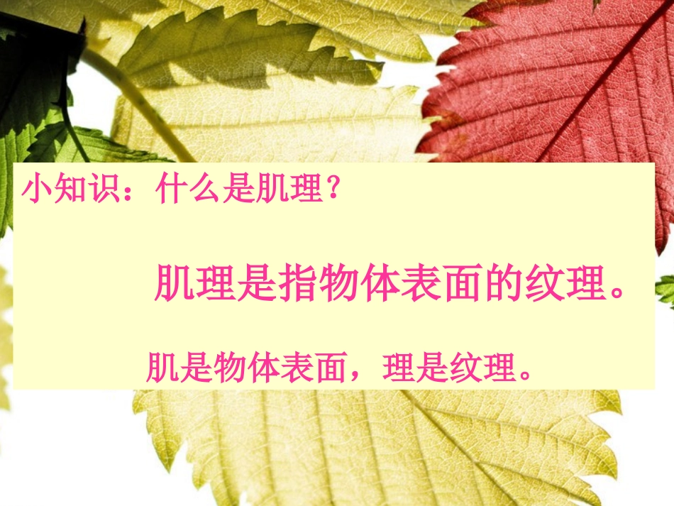 第8课神奇的肥皂粉_第2页