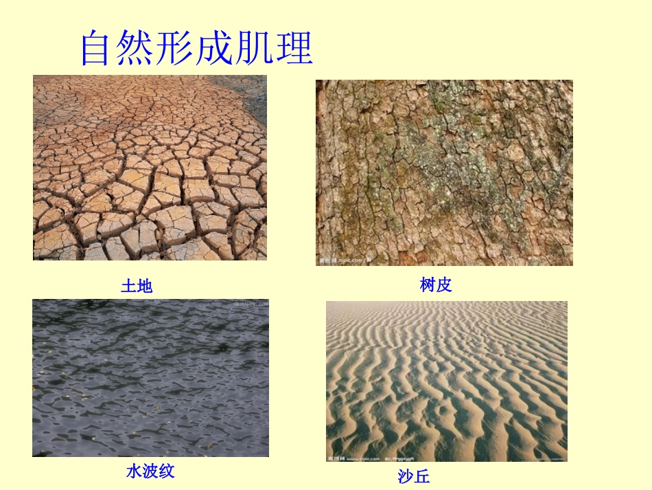 第8课神奇的肥皂粉_第3页