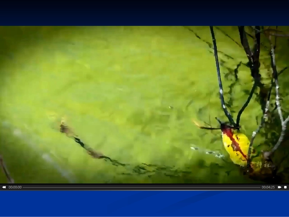 第三节水资源的利用与保护_第1页