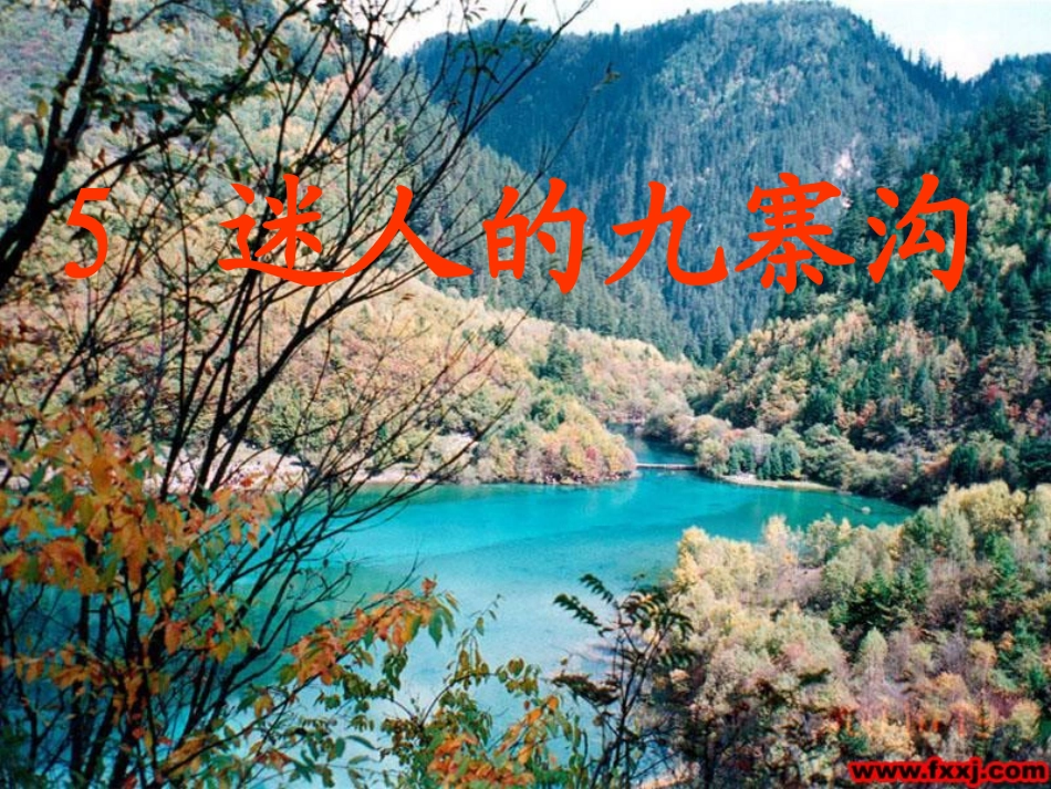 5迷人的九寨沟_第1页