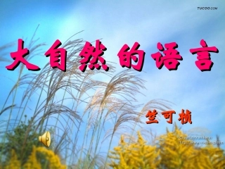 16大自然的语言