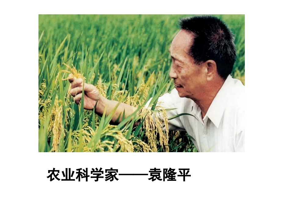 第18课科技文化成就_第3页