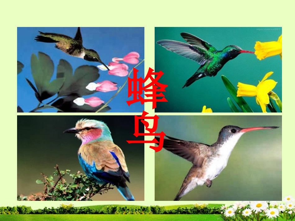 9空中霸王-的克星2_第2页