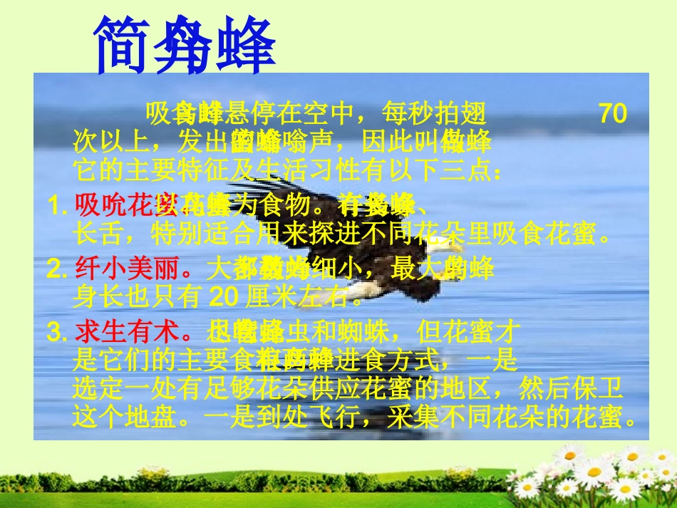 9空中霸王-的克星2_第3页