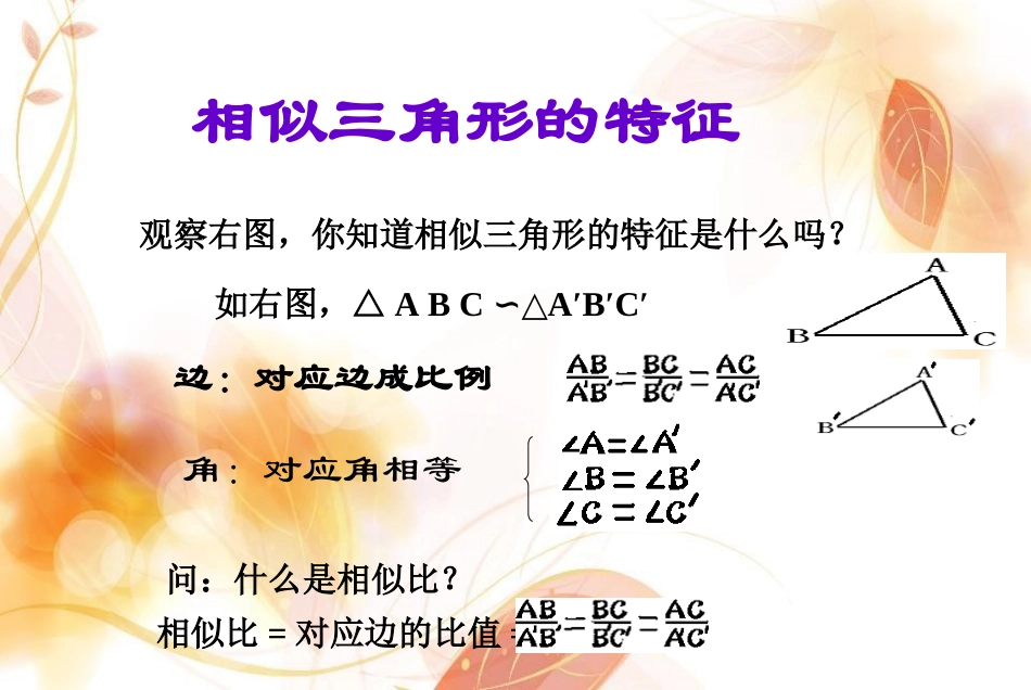 1.1.2相似三角形的性质_第3页