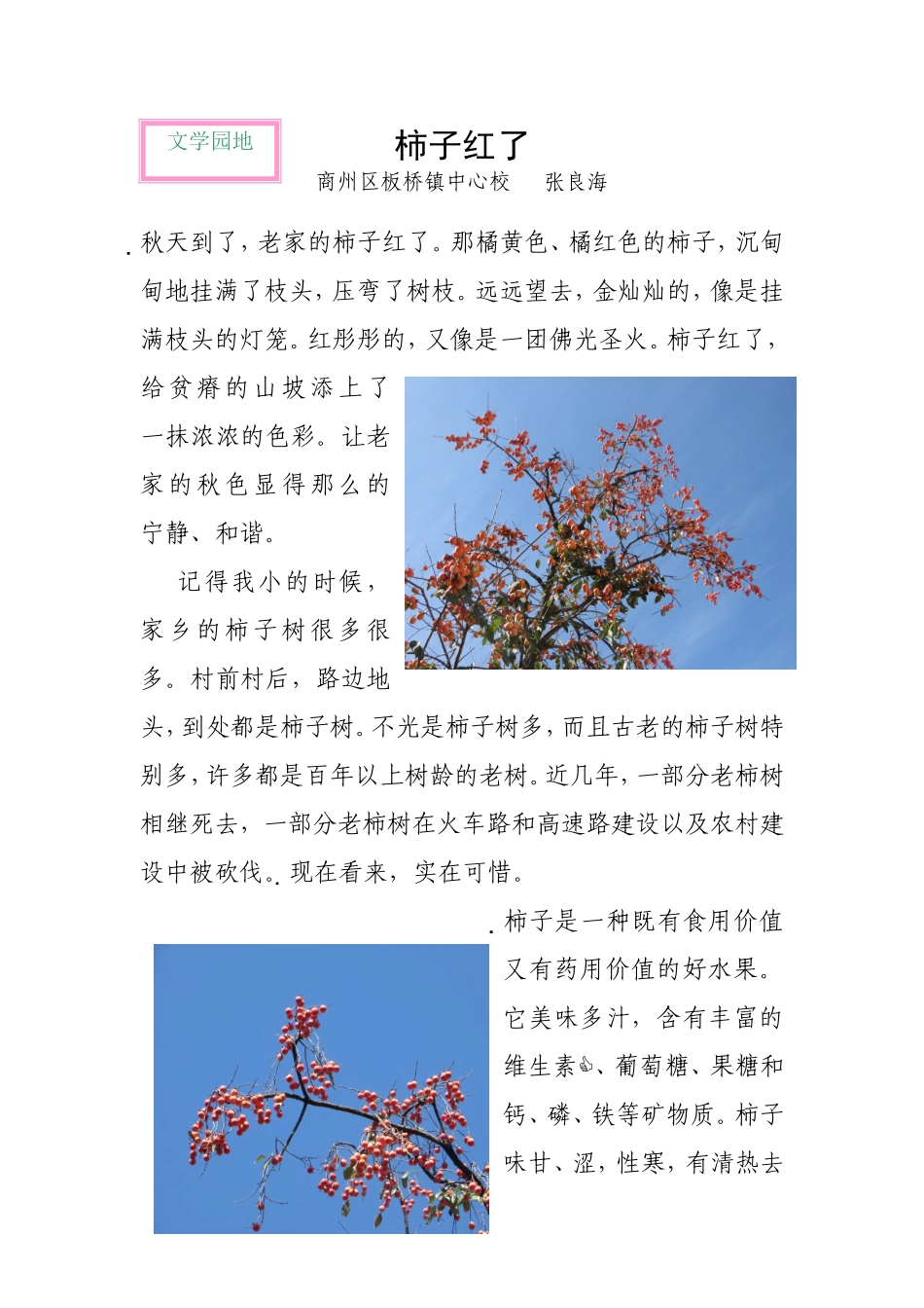 柿子红了-(2)_第1页