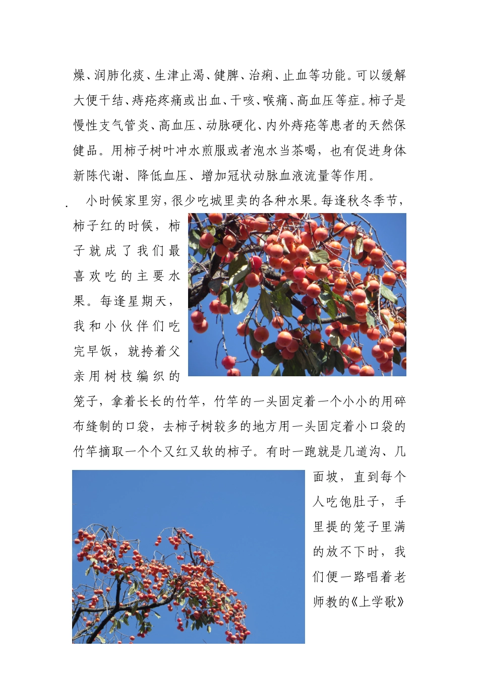 柿子红了-(2)_第2页