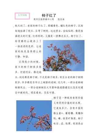 柿子红了-(2)