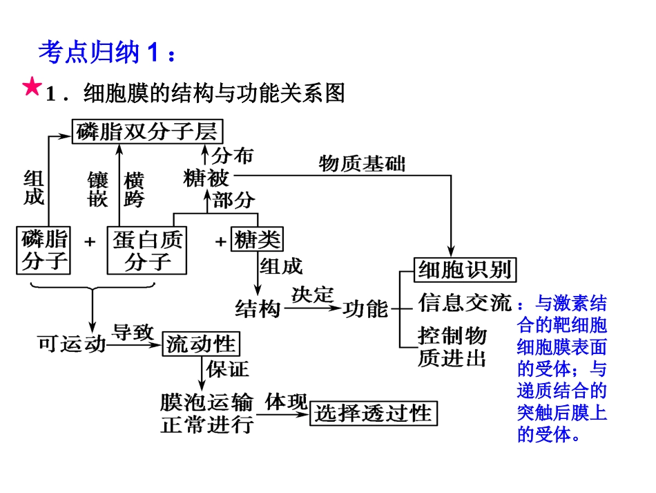 生命的结构基础_第3页