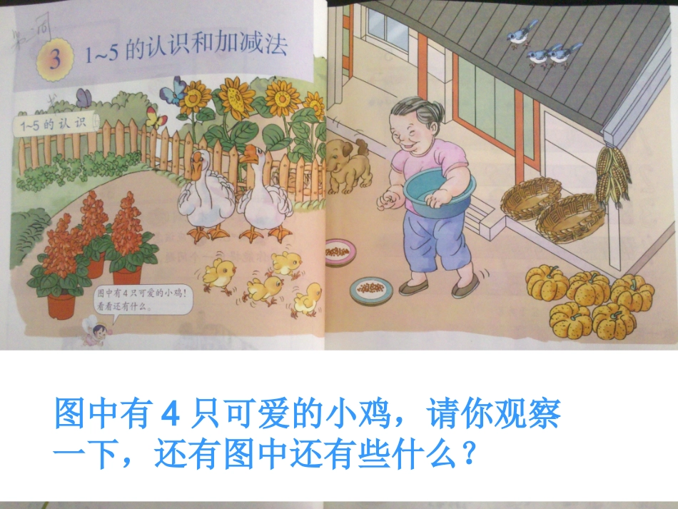 SX105小学数学一年级上册《1-5的认识》(人教版)4_第2页