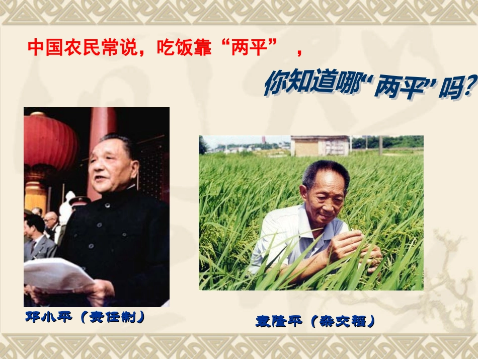 影响光合作用的环境因素-(2)_第3页