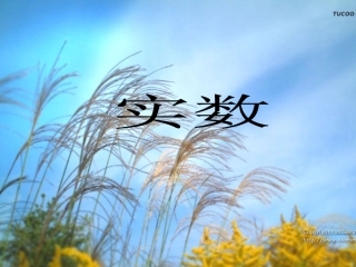 实数第二课时-(2)