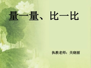 小学数学人教2011课标版二年级量一量、比一比