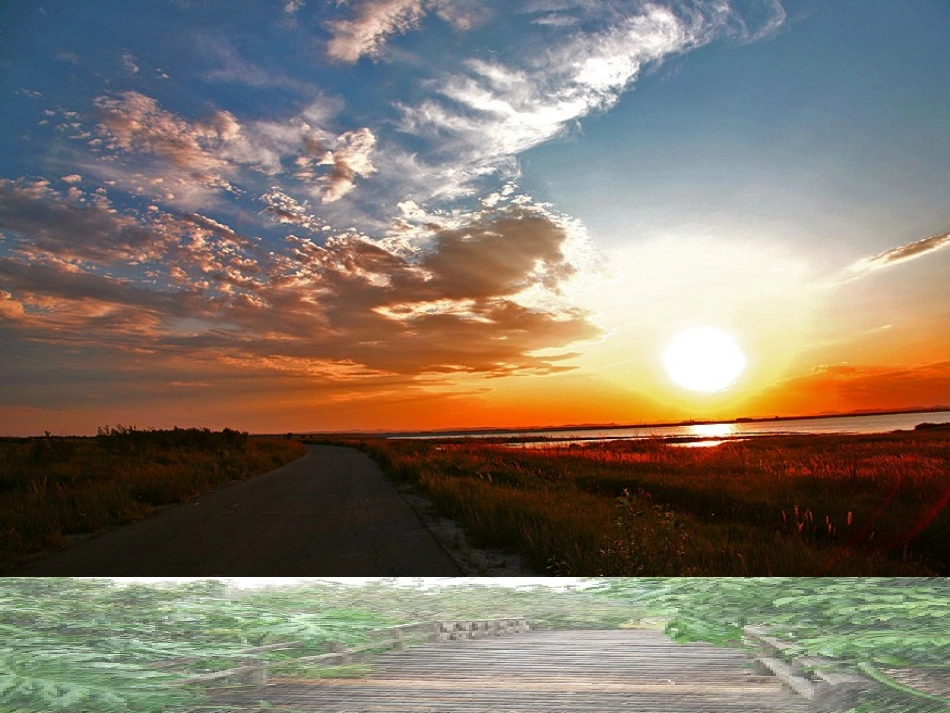 必修4《定风波》_第1页