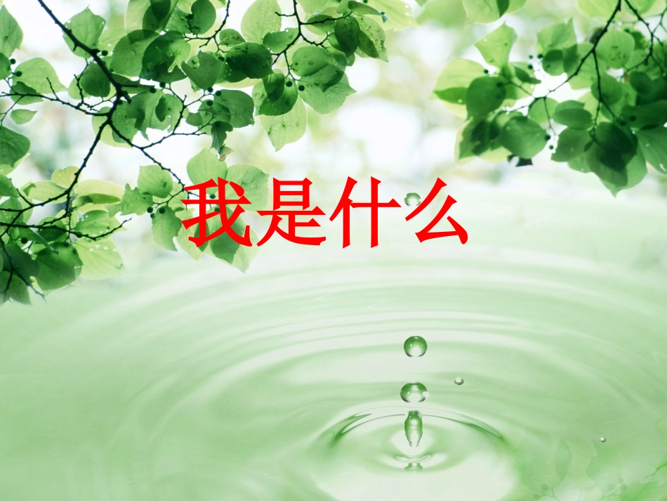 我是什么-教学课件305722_第1页