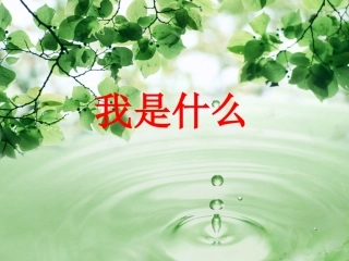 我是什么-教学课件305722