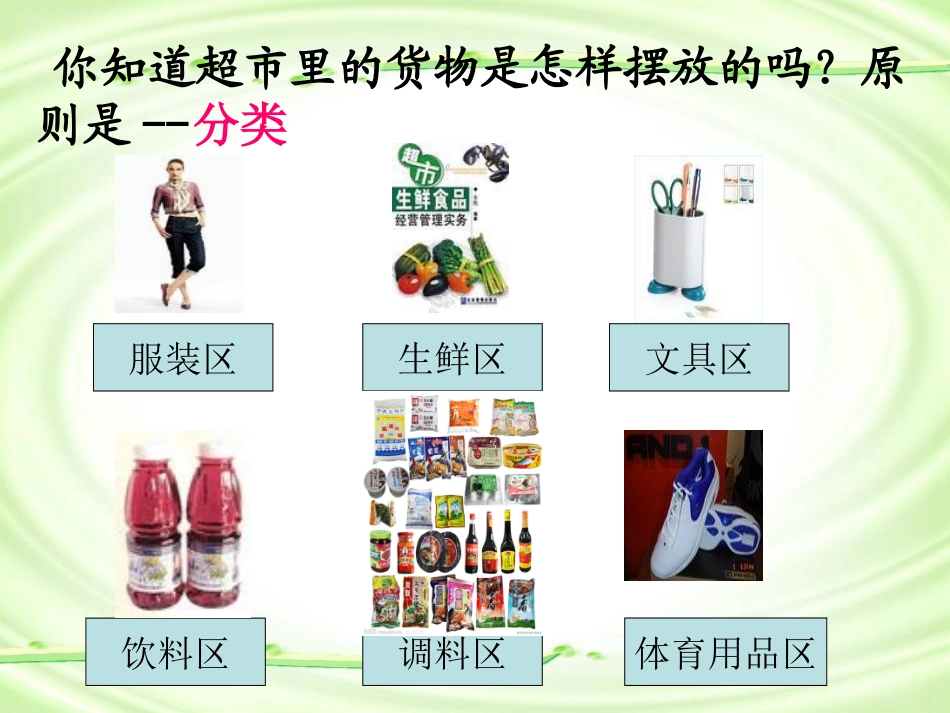 第一节-尝试对生物进行分类_第3页