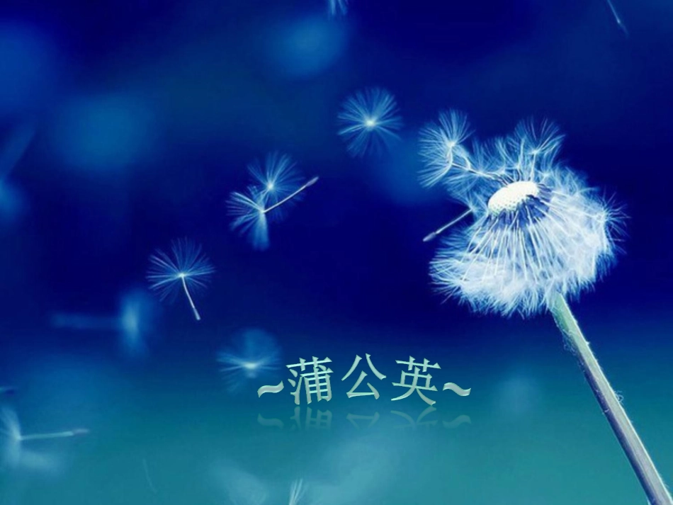 《猜谜语》第二谜详解_第2页